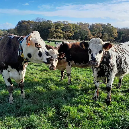 Casa de Férias A La Ferme *