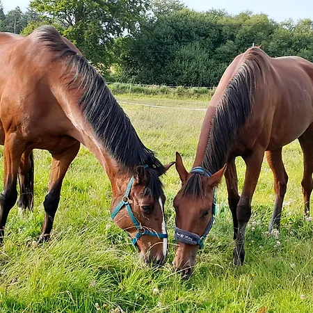 A La Ferme * Ploubezre